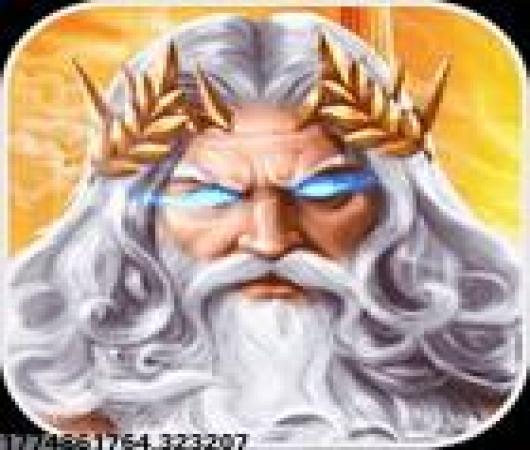 忘忧冰雪高爆单职业